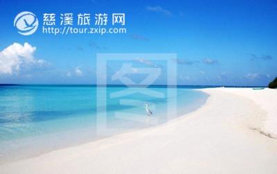 【白云旅游】“有梦有爱有快乐”上海海昌海洋公园欢乐一日游