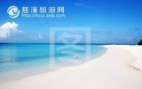【白云旅游】【超值游】上海东方明珠、长风海洋世界、杜莎夫人蜡像馆、外滩二日游