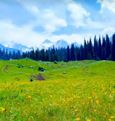 【天天旅游】【福建】海上仙都太姥山四日游